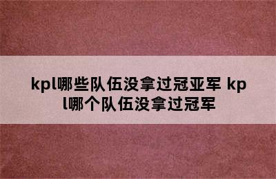 kpl哪些队伍没拿过冠亚军 kpl哪个队伍没拿过冠军